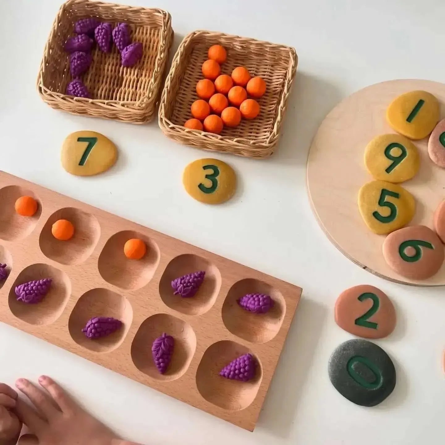 10 Frame Tray-10 Frame Tray