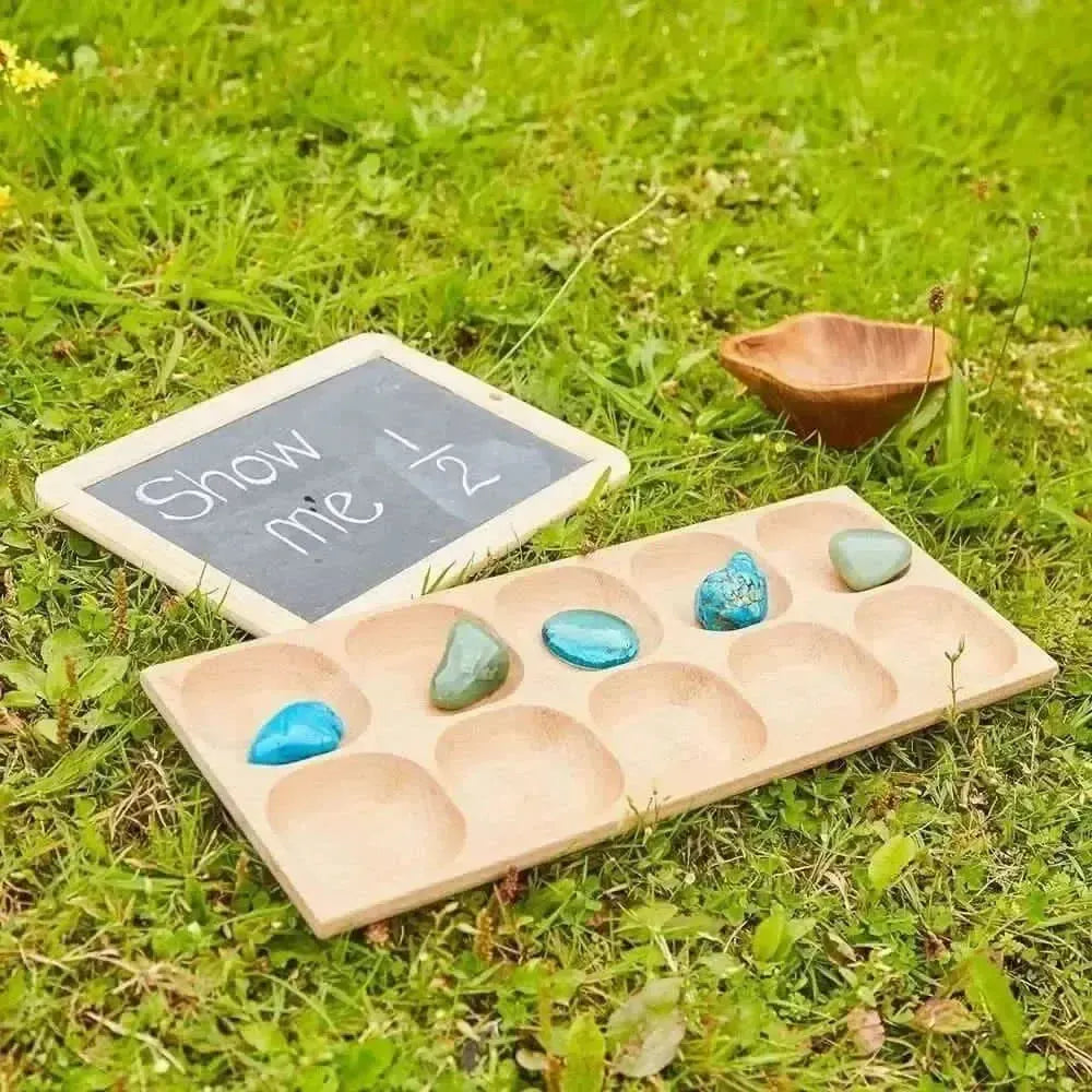 10 Frame Tray-10 Frame Tray