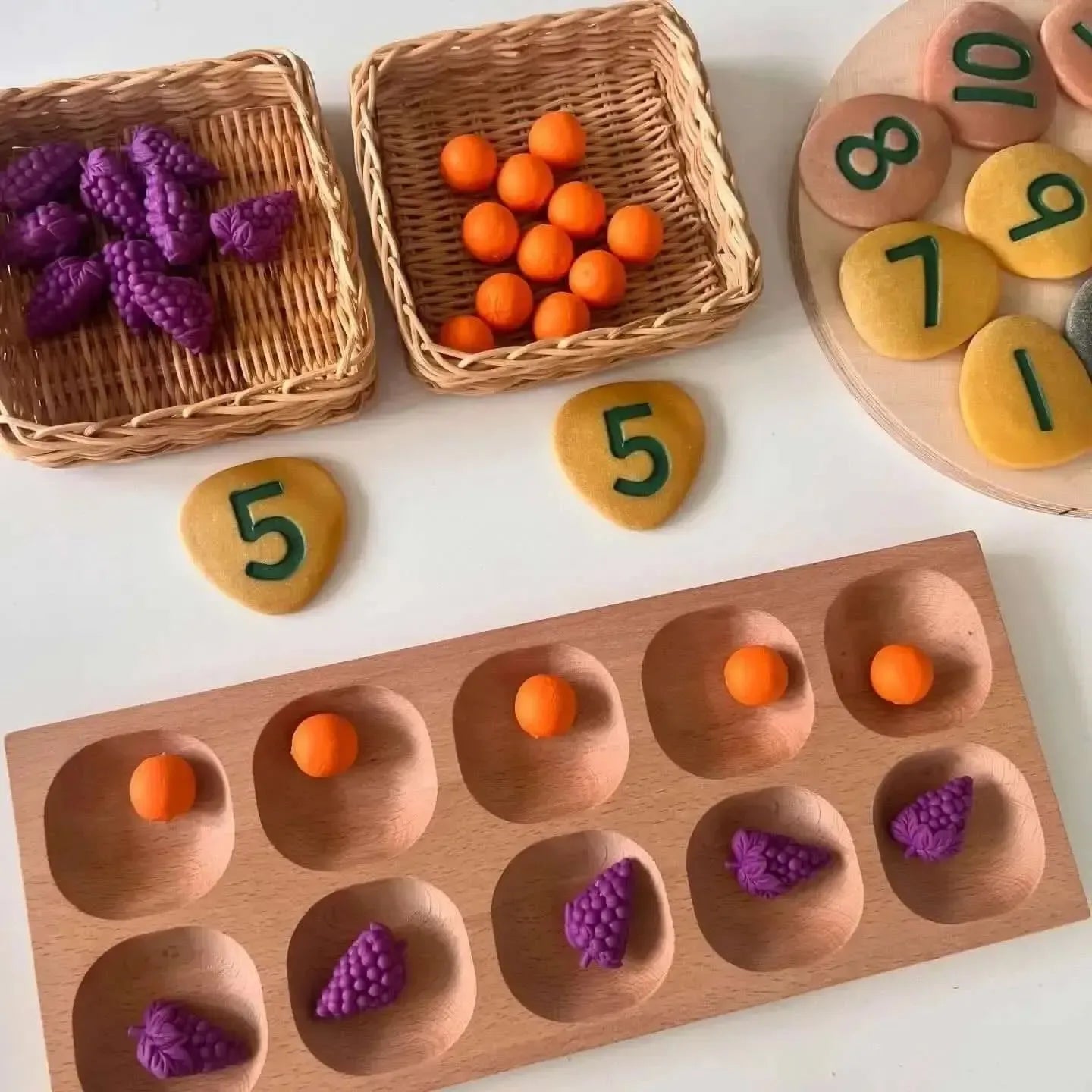 10 Frame Tray-10 Frame Tray