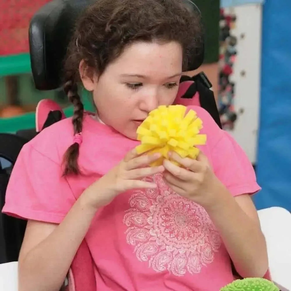 14 Piece Sensory Sponge Set-14 Piece Sensory Sponge Set