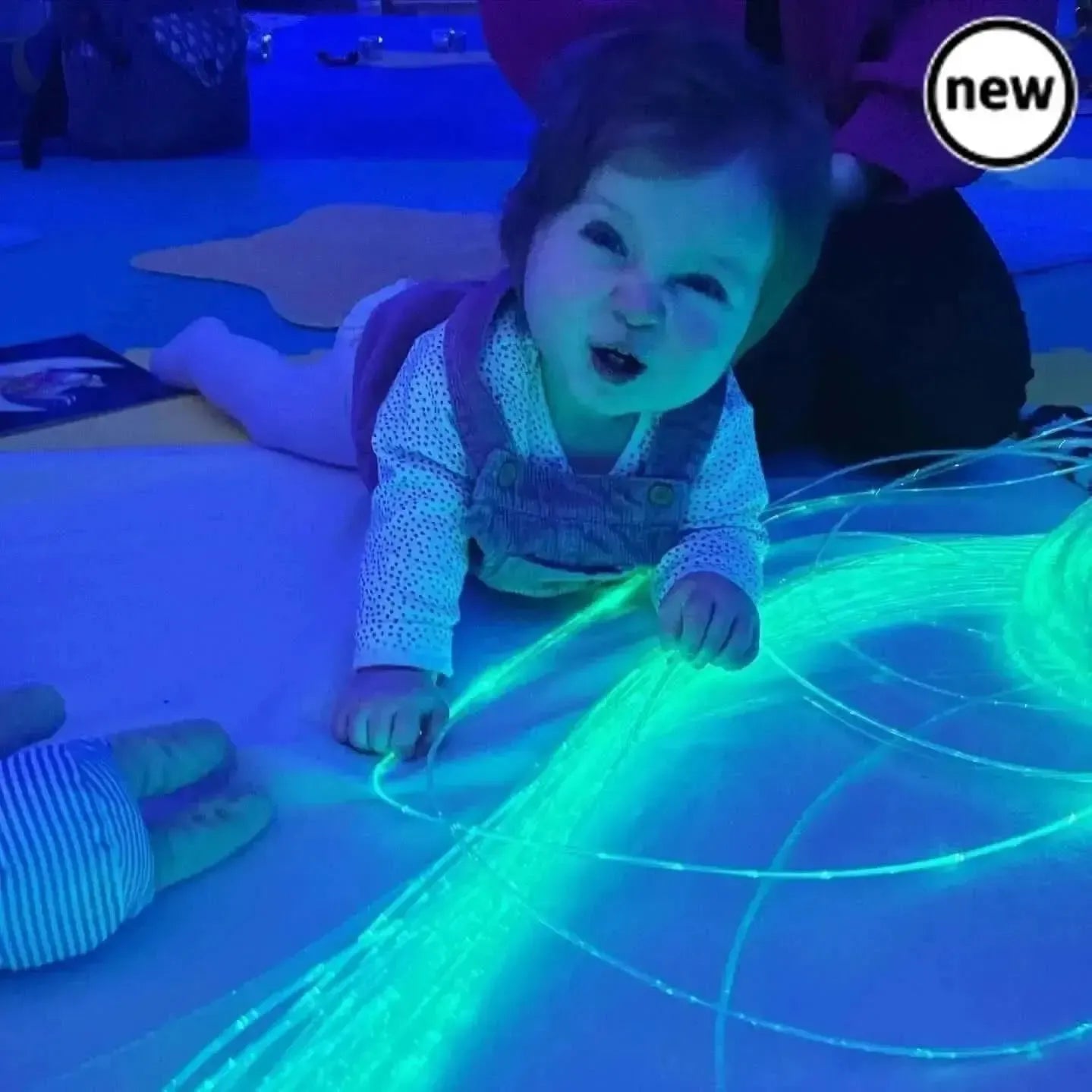 2 Metre Budget Fibre Optic Light System-2 Metre Budget Fibre Optic Light System