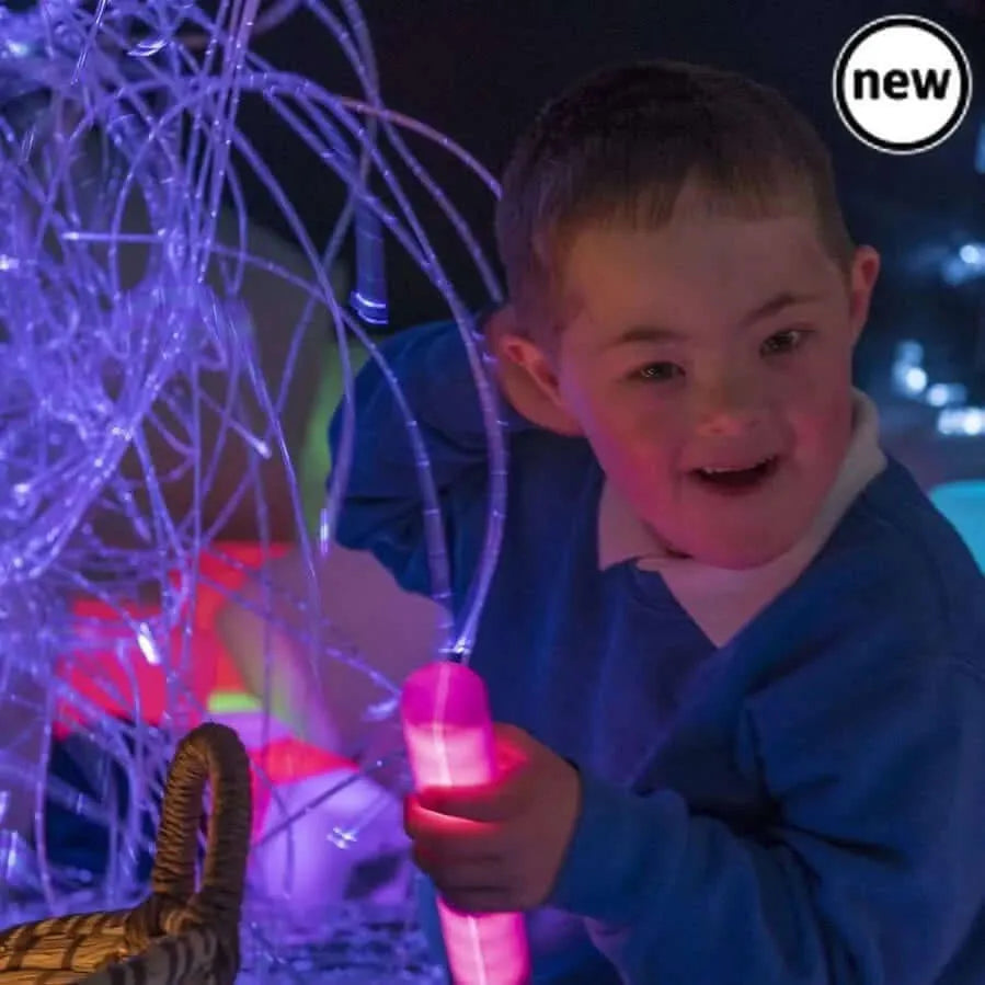 2 Metre Budget Fibre Optic Light System-2 Metre Budget Fibre Optic Light System