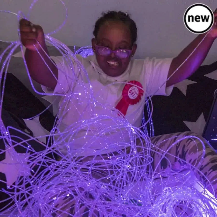 2 Metre Budget Fibre Optic Light System-2 Metre Budget Fibre Optic Light System