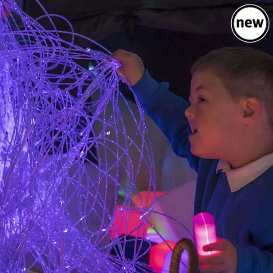 2 Metre Budget Fibre Optic Light System-2 Metre Budget Fibre Optic Light System