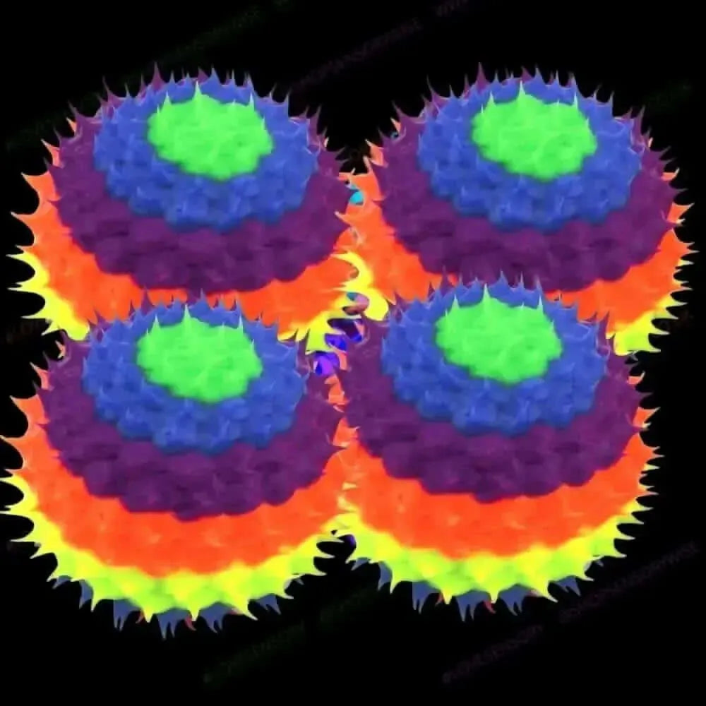 4 Pack of Rainbow UV Spine Balls-4 Pack of Rainbow UV Spine Balls