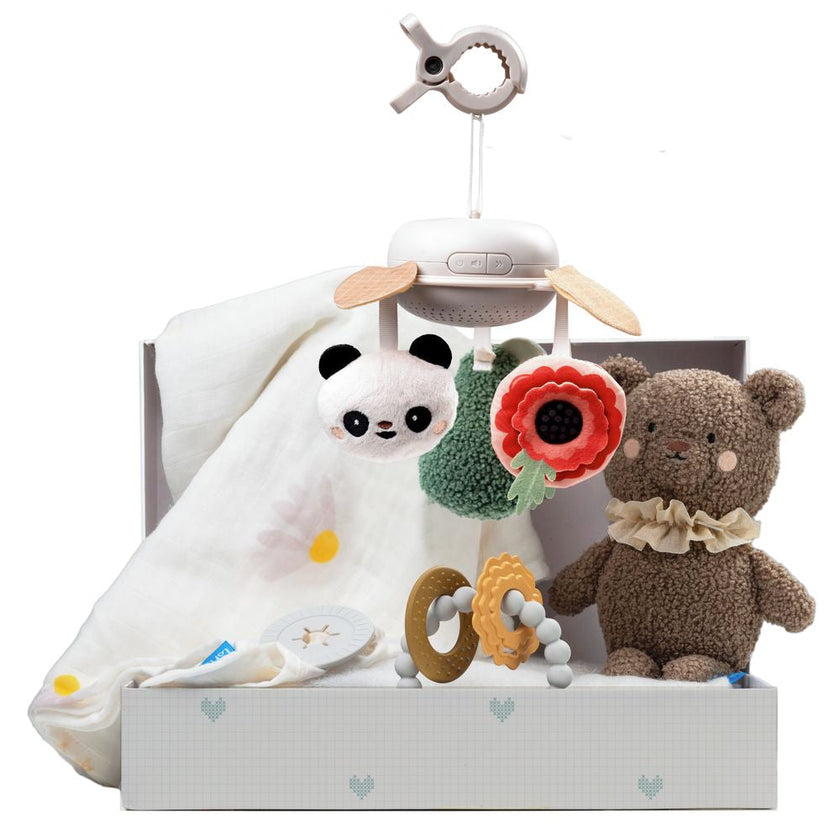 Taf Toys Luxury Newborn Gift Set