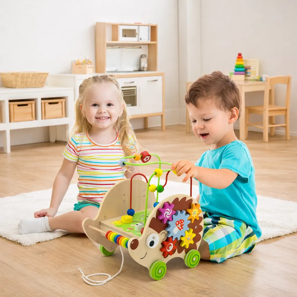 Viga Toys Wooden Pull Along Activity Hedgehog-Viga Toys Wooden Pull Along Activity Hedgehog