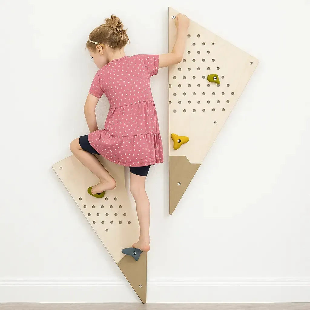 Adventure Climbing Wall-Adventure Climbing Wall