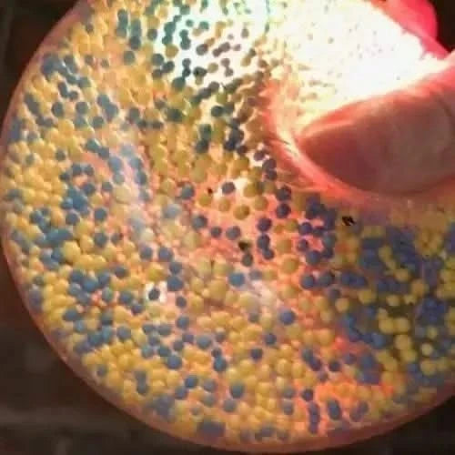 Air bean light up ball 10cm-Air bean light up ball 10cm