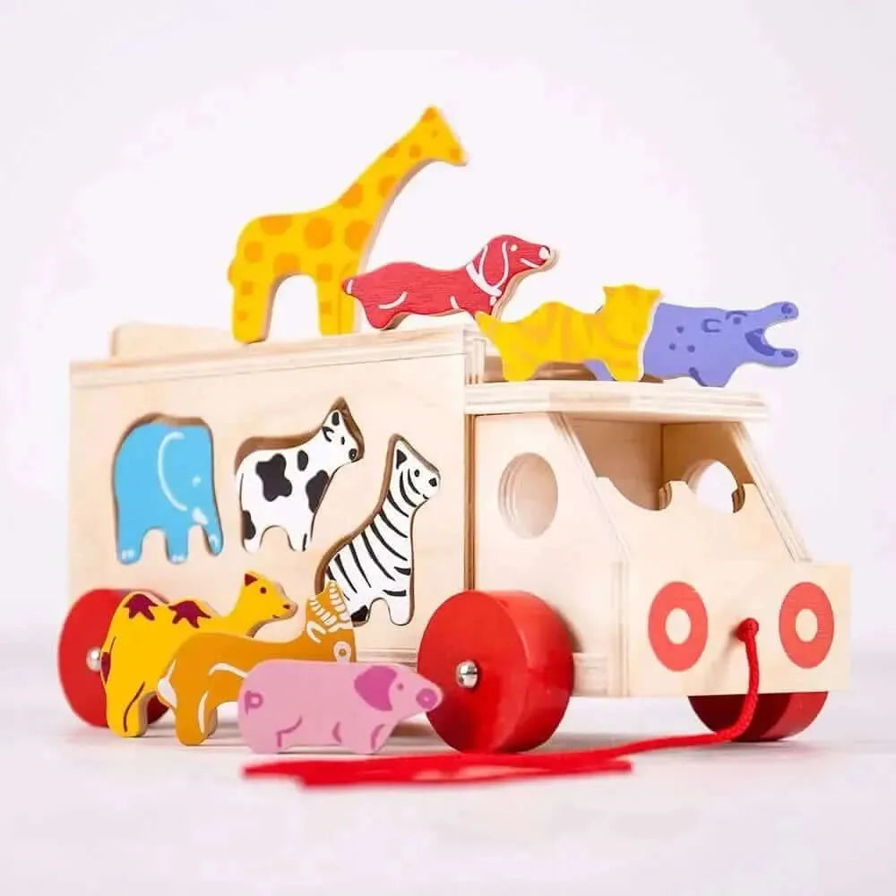 Animal Shape Lorry-Animal Shape Lorry