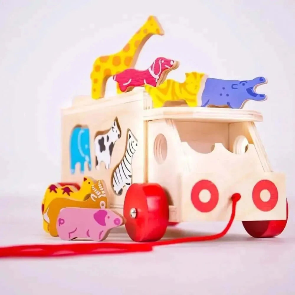 Animal Shape Lorry-Animal Shape Lorry