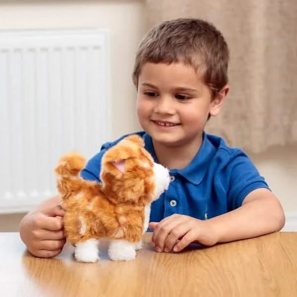 Animigos Ginger Kitten-Animigos Ginger Kitten