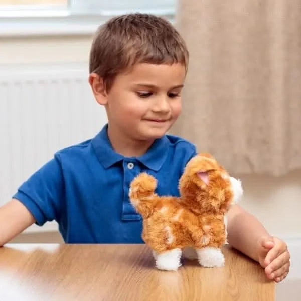 Animigos Ginger Kitten-Animigos Ginger Kitten