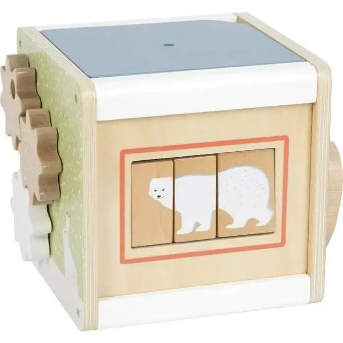 Artic Motor Skills Cube-Artic Motor Skills Cube