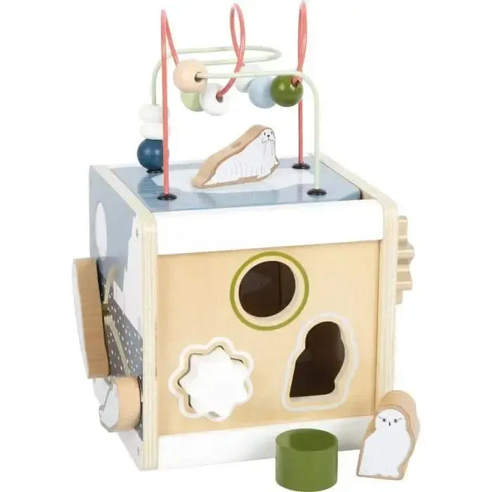 Artic Motor Skills Cube-Artic Motor Skills Cube