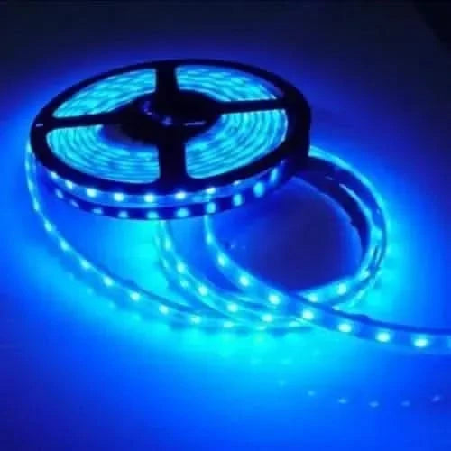 Aurora UV chameleon-Aurora UV chameleon