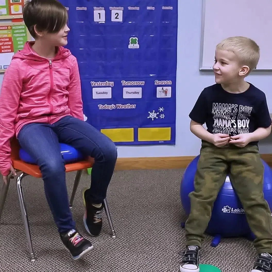 Balance Ball Chair-Balance Ball Chair