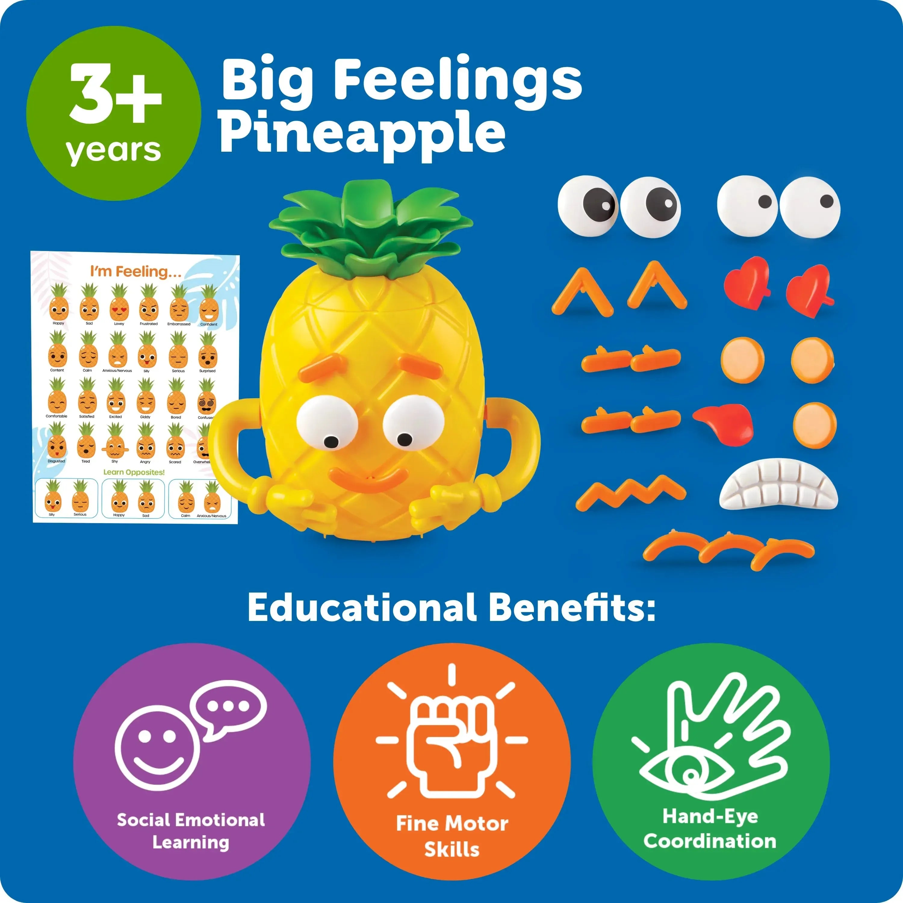 Big Feelings Pineapple-Big Feelings Pineapple