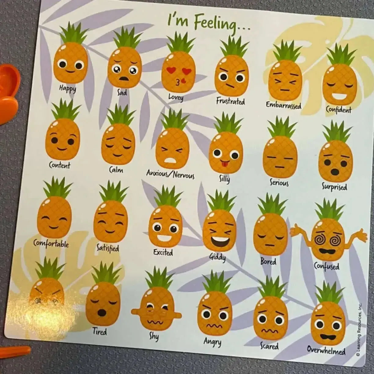 Big Feelings Pineapple Deluxe Set-Big Feelings Pineapple Deluxe Set