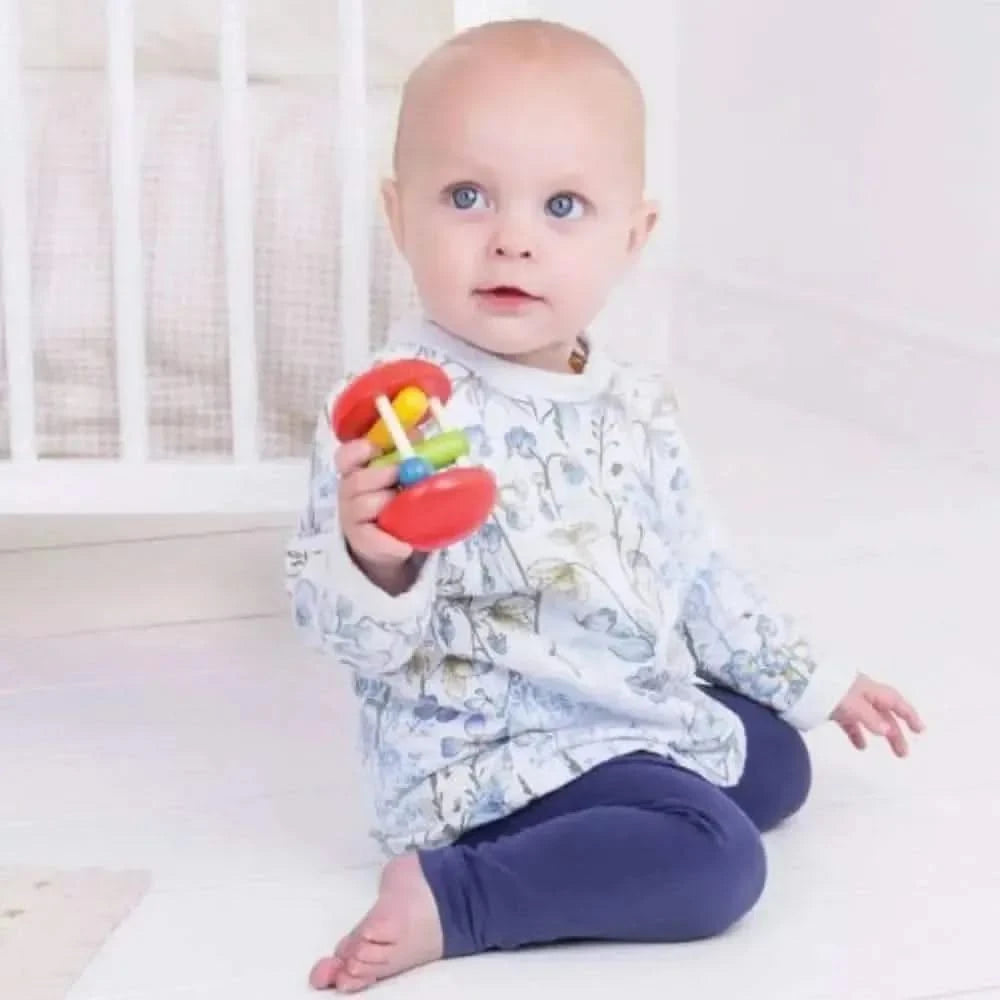 Bigjigs Rainbow Roller-Bigjigs Rainbow Roller