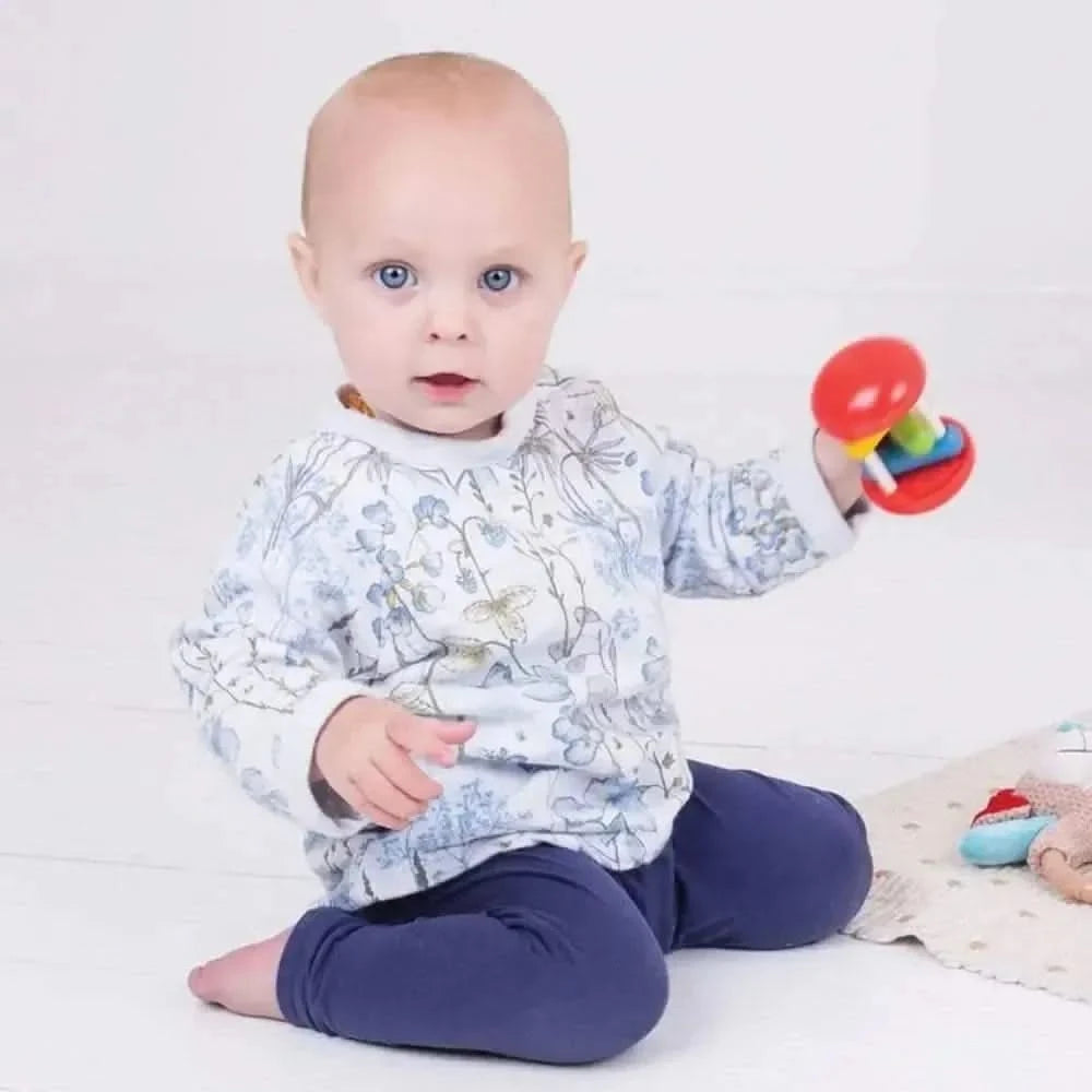 Bigjigs Rainbow Roller-Bigjigs Rainbow Roller