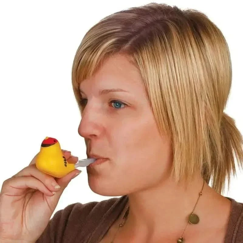 Bird Water Warbler-Bird Water Warbler