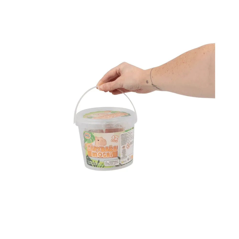 Capybara Mochi Tub-Capybara Mochi Tub