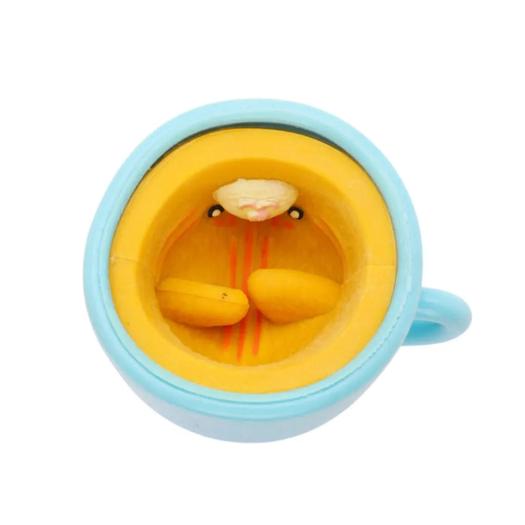 Cat in a cup-Cat in a cup