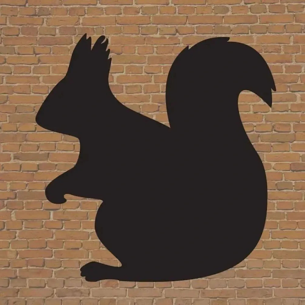 Chalkboards woodland animals set of 5-Chalkboards woodland animals set of 5