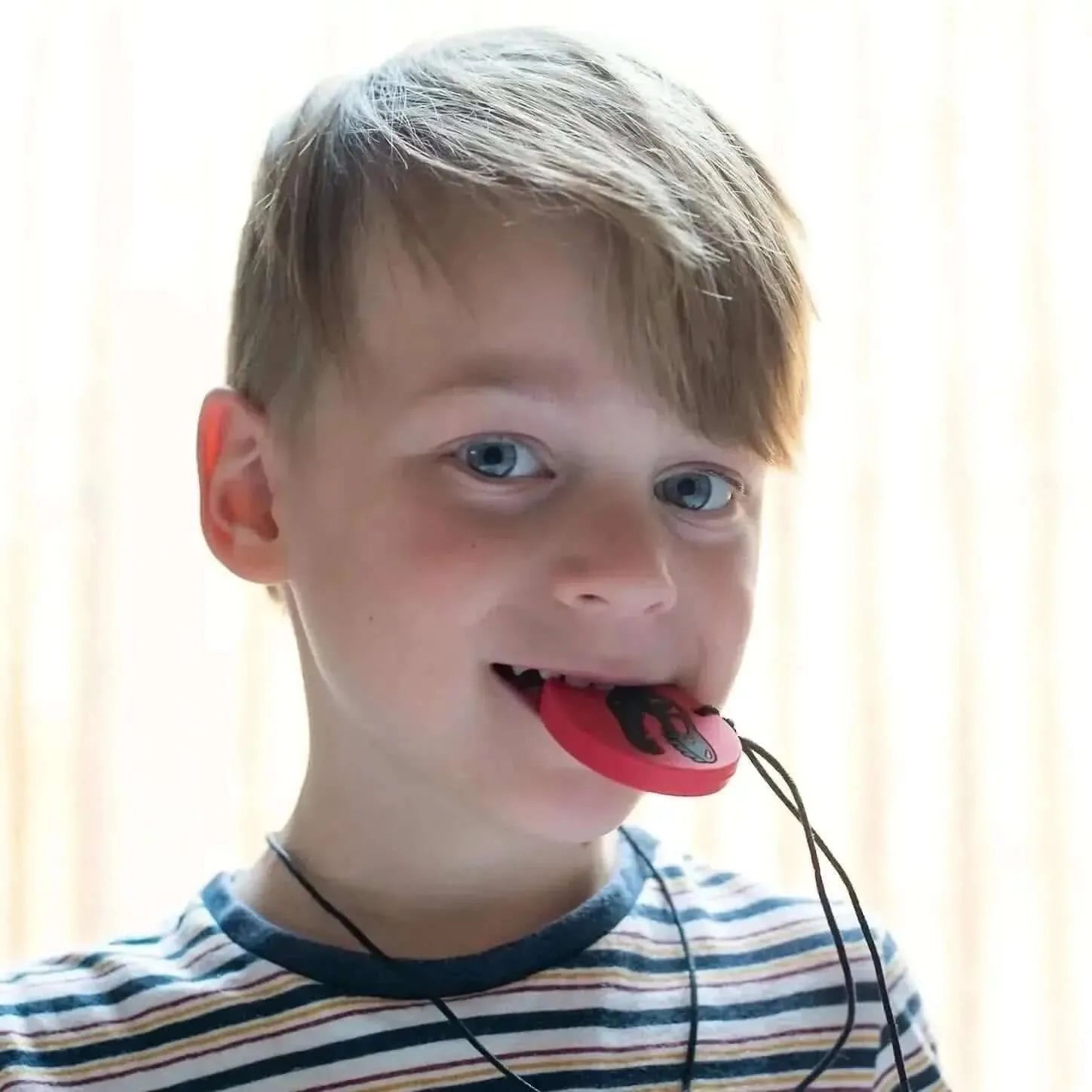 CHUIT Dino Munchable-CHUIT Dino Munchable