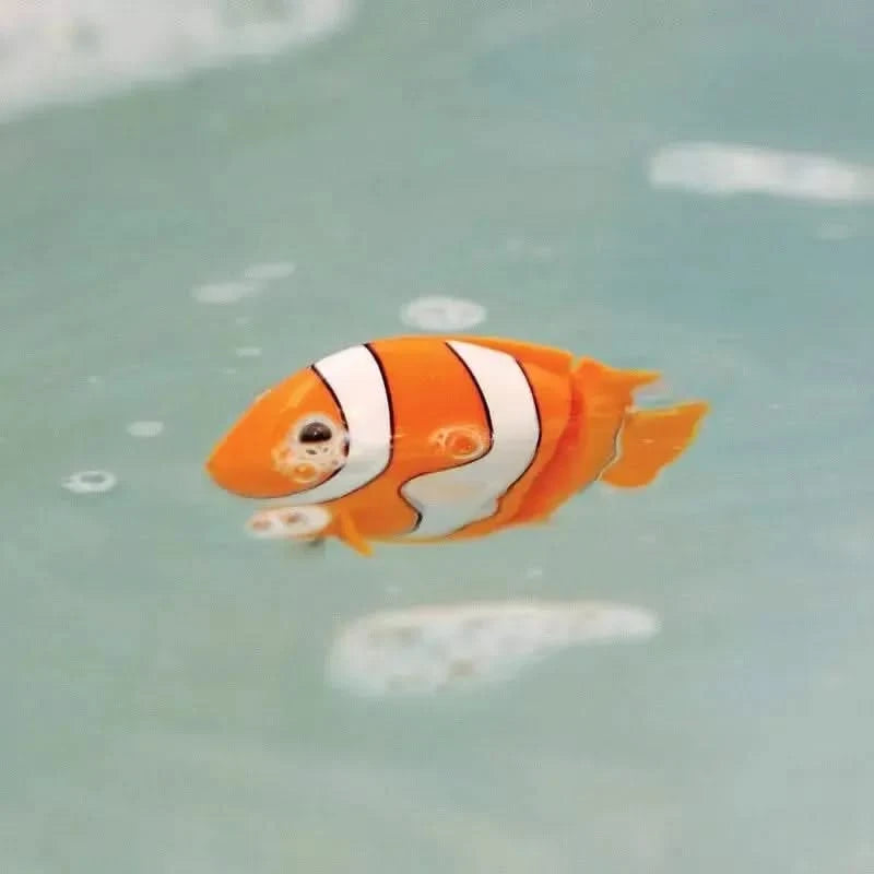 Clockwork Fish-Clockwork Fish