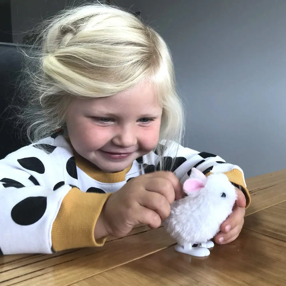 Clockwork Hopping Bunny-Clockwork Hopping Bunny