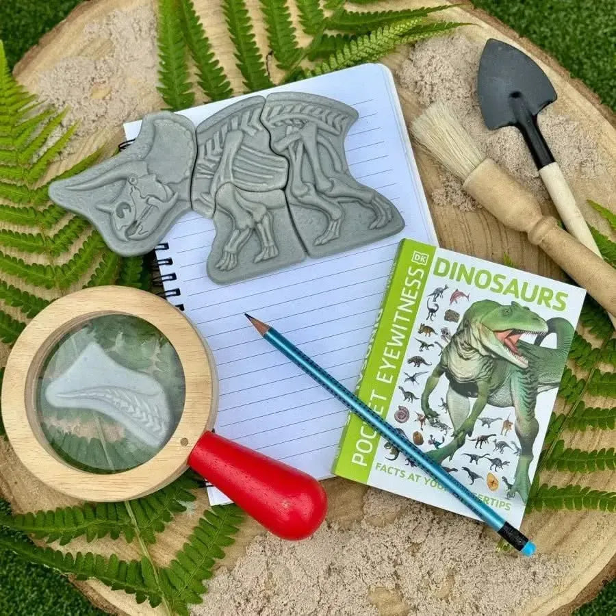 Dig and Discover – Triceratops & Spinosaurus-Dig and Discover – Triceratops & Spinosaurus