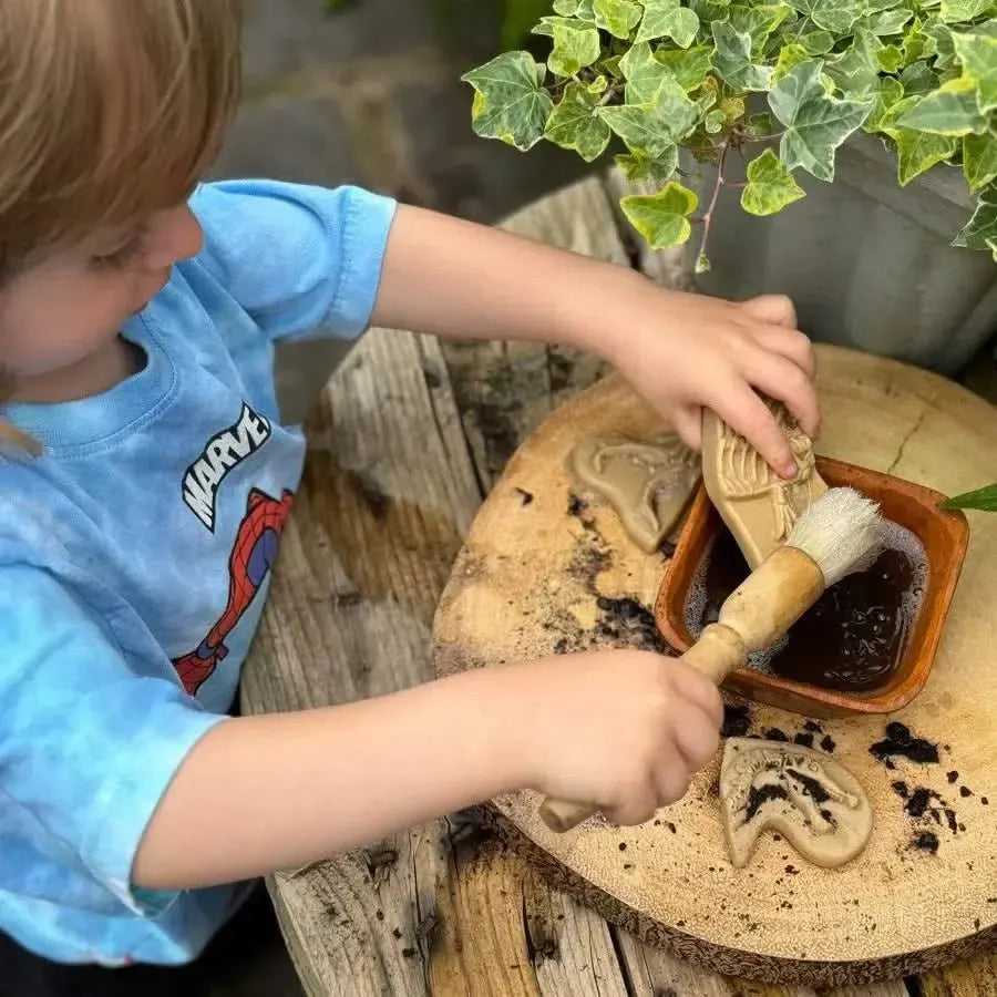 Dig and Discover – Triceratops & Spinosaurus-Dig and Discover – Triceratops & Spinosaurus