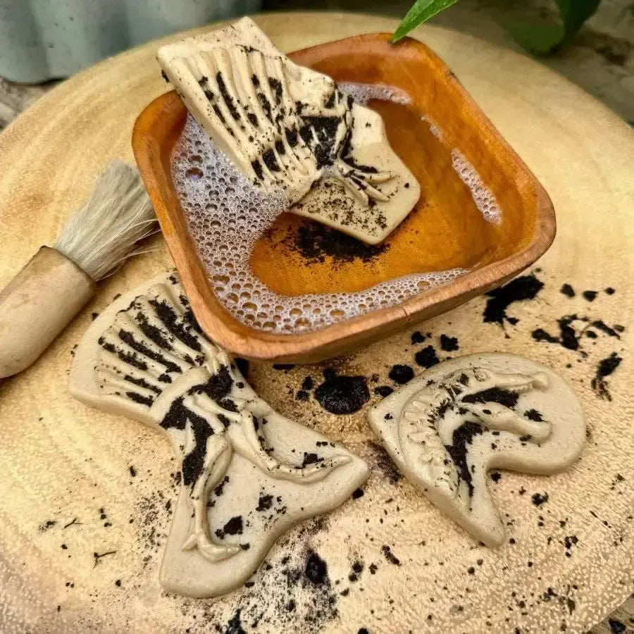 Dig and Discover – Triceratops & Spinosaurus-Dig and Discover – Triceratops & Spinosaurus