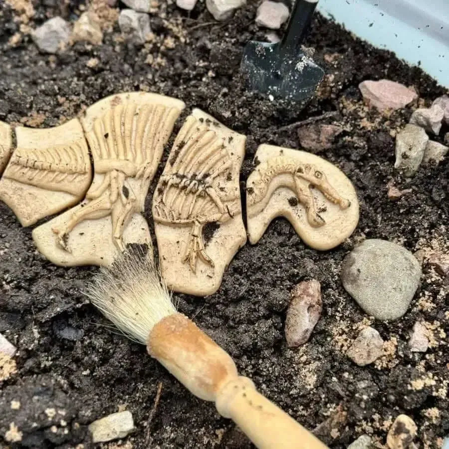 Dig and Discover – Triceratops & Spinosaurus-Dig and Discover – Triceratops & Spinosaurus