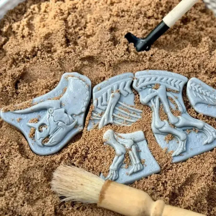 Dig and Discover – Triceratops & Spinosaurus-Dig and Discover – Triceratops & Spinosaurus