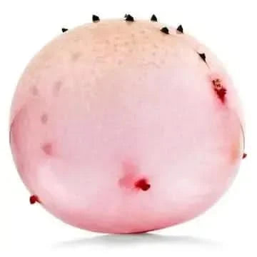 Dinosaur Balloon Ball-Dinosaur Balloon Ball