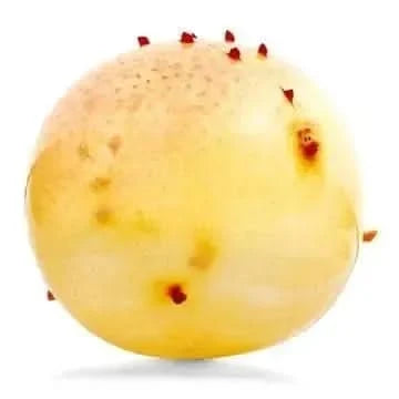 Dinosaur Balloon Ball-Dinosaur Balloon Ball