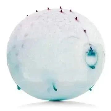 Dinosaur Balloon Ball-Dinosaur Balloon Ball