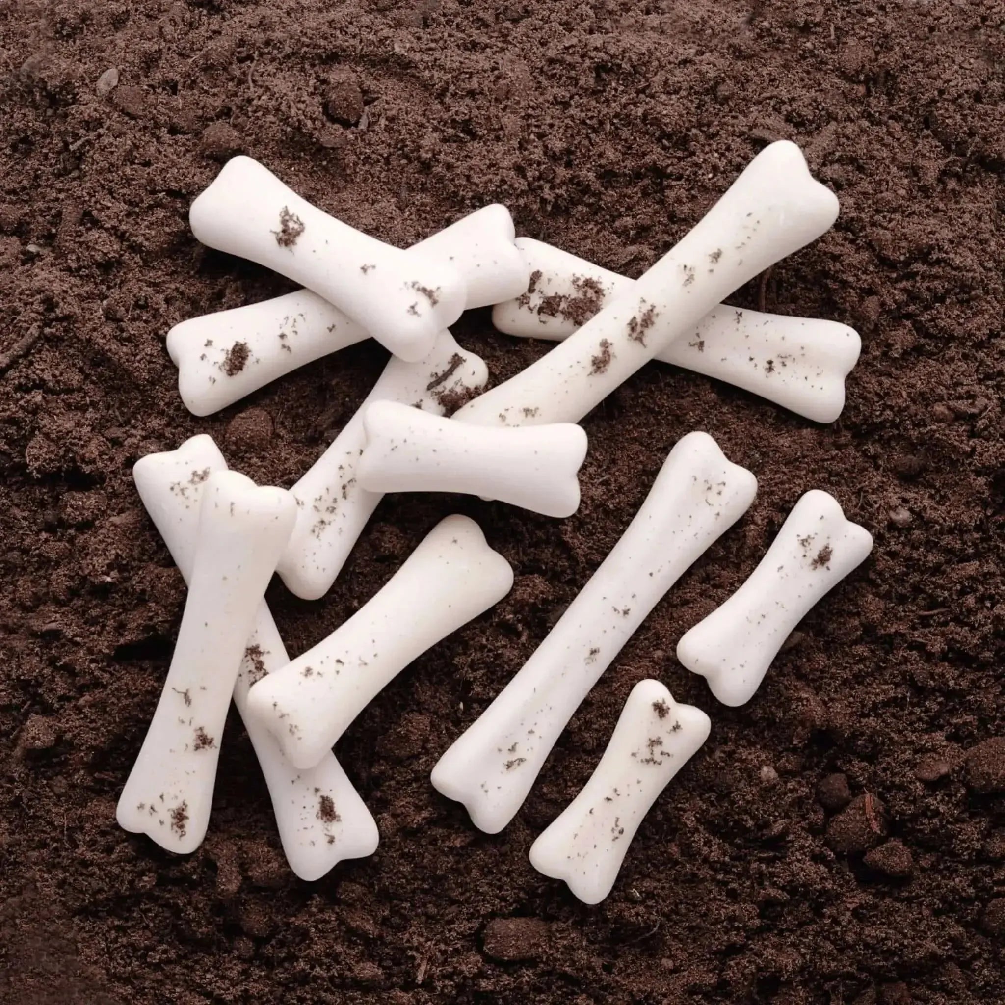 Dinosaur Bones Discovery Set-Dinosaur Bones Discovery Set