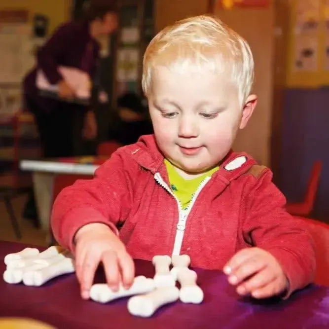 Dinosaur Bones Discovery Set-Dinosaur Bones Discovery Set