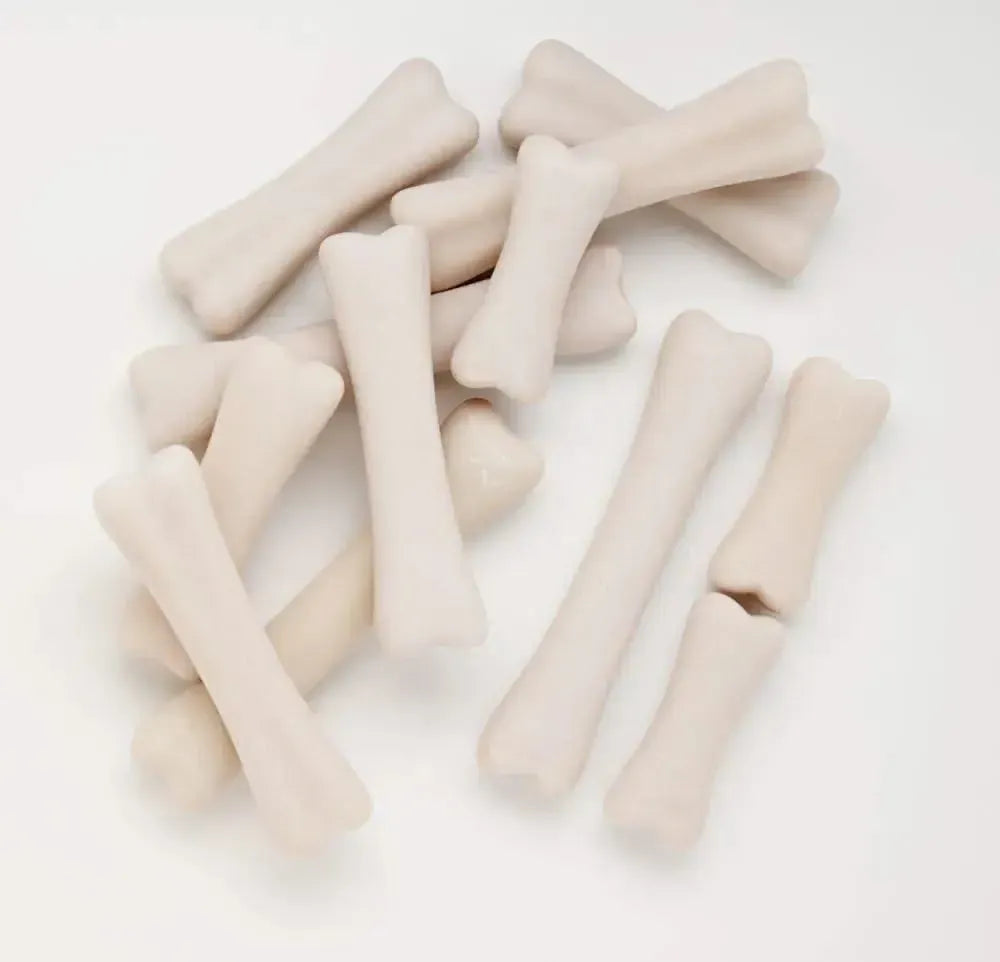 Dinosaur Bones Discovery Set-Dinosaur Bones Discovery Set