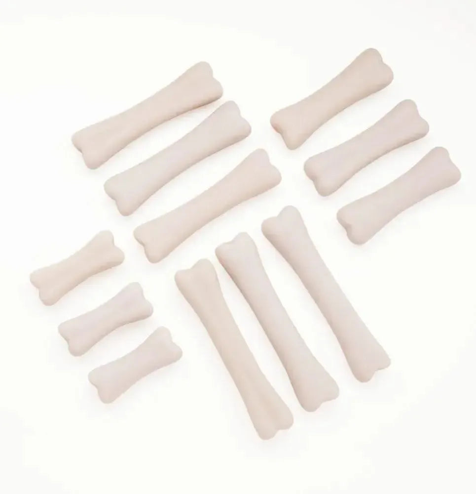 Dinosaur Bones Discovery Set-Dinosaur Bones Discovery Set