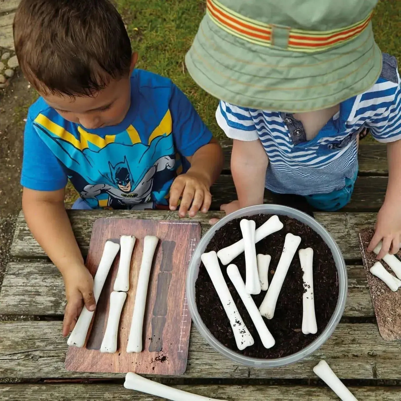 Dinosaur Bones Discovery Set-Dinosaur Bones Discovery Set