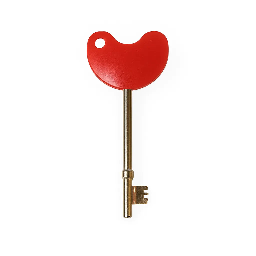 Disabled toilet key-Disabled toilet key