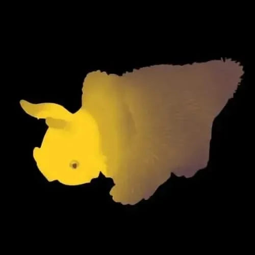 Disco Dinosaur-Disco Dinosaur