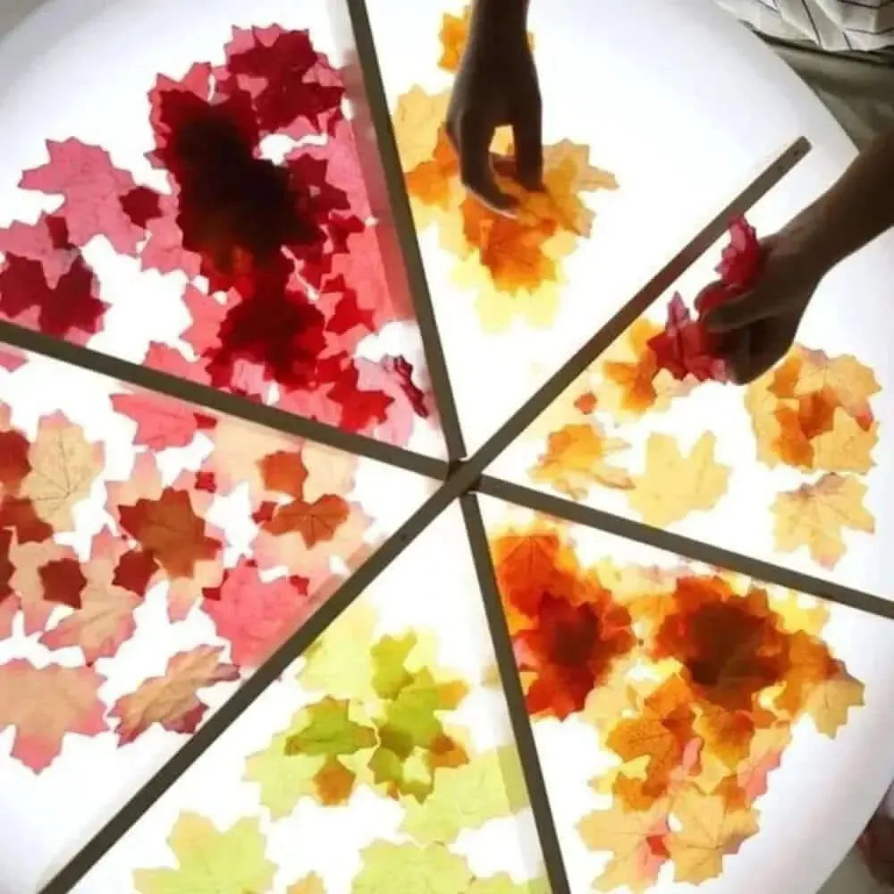 Discovery Dividers-Discovery Dividers