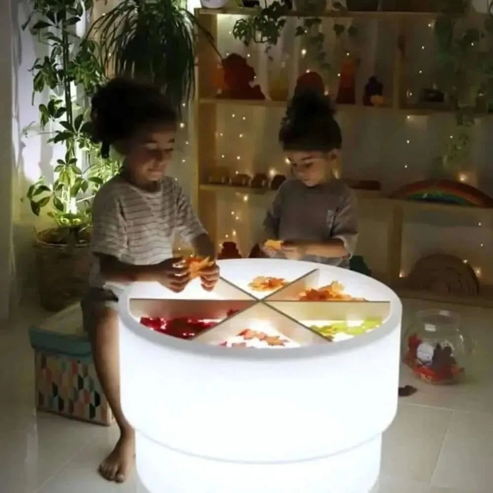 Discovery Dividers-Discovery Dividers