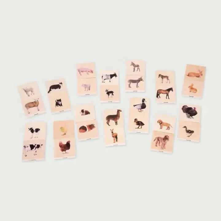 Domestic Animal Family Match Game-Domestic Animal Family Match Game